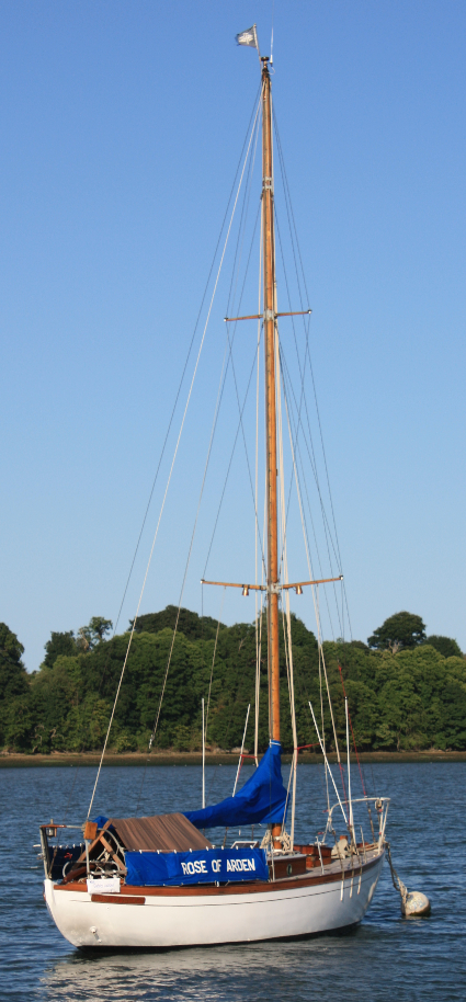 Rose of Arden on the River Orwell